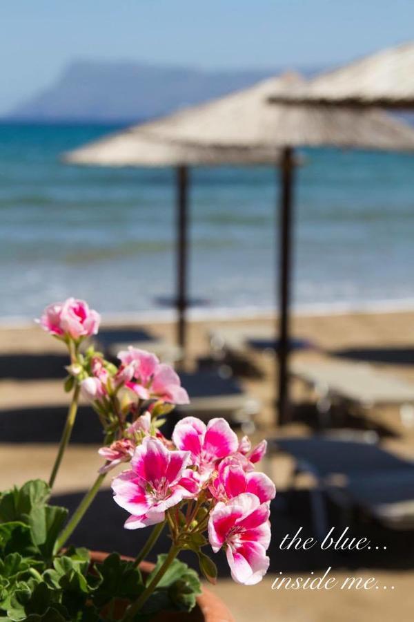 Molos Beach Rooms Kíssamos Dış mekan fotoğraf